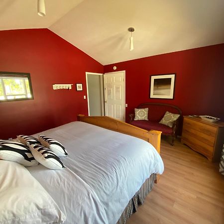 Rose Cottage Bed & Breakfast Валмаунт Екстериор снимка