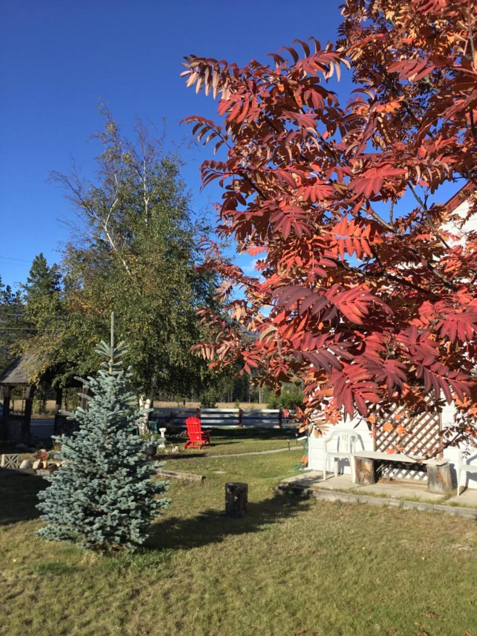 Rose Cottage Bed & Breakfast Валмаунт Екстериор снимка